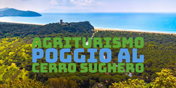 Matrimoniale Agriturismo Poggio al Cerro Sughero