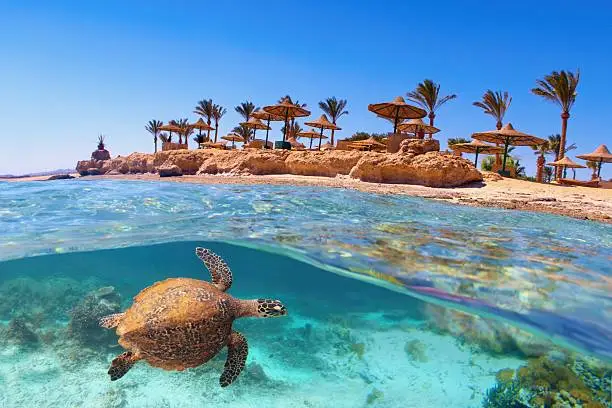 Sharm el Sheikh